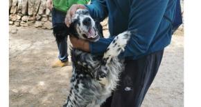Terpia amb animals a la Fundaci Pere Mata Terres de l'Ebre