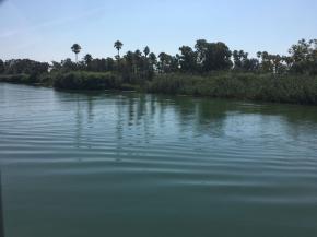 Activitat estrella de lestiu a la Residncia Maricel: les colnies al delta